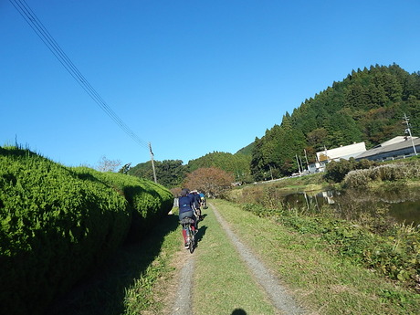 DSCN5665