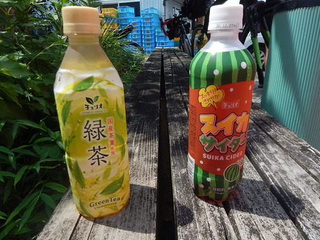 DSCN0520