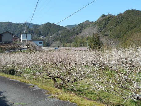 DSCN7082