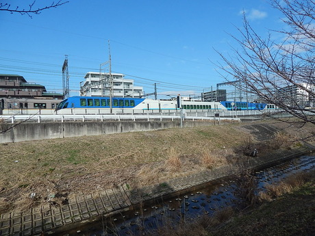 DSCN6771