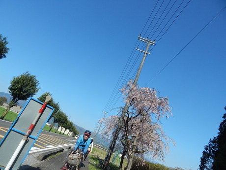 DSCN6666