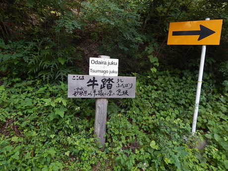 DSCN0907
