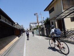 s-P4220064fushimi