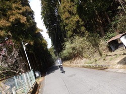 s-P2250121suzuka