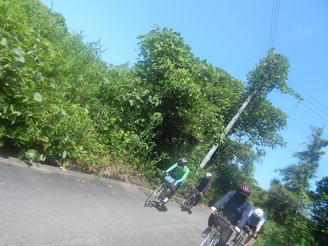 DSCN8652