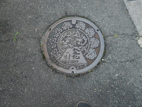 DSCN8132