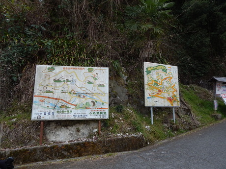 DSCN4617