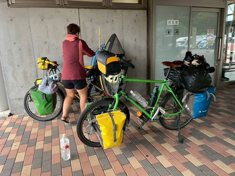 530538372_3800331283592270_621039532536824407_nmichi005