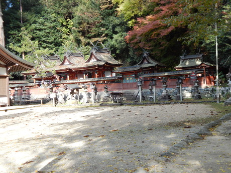 DSCN7313