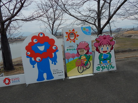 DSCN3149