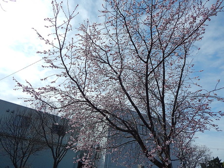 DSCN6569