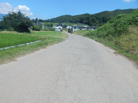 DSCN0230