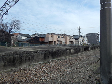 DSCN6587