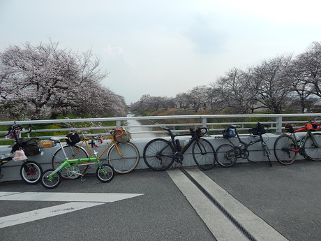 DSCN5983