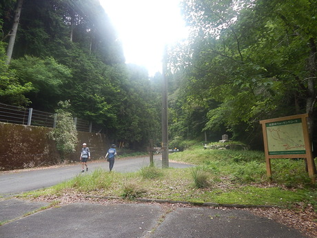 DSCN7978