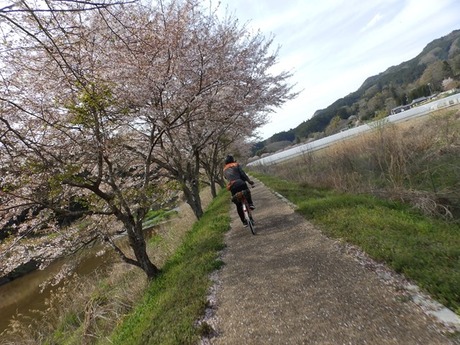 s-P4130425higashiyo