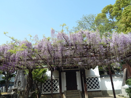 DSCN9596