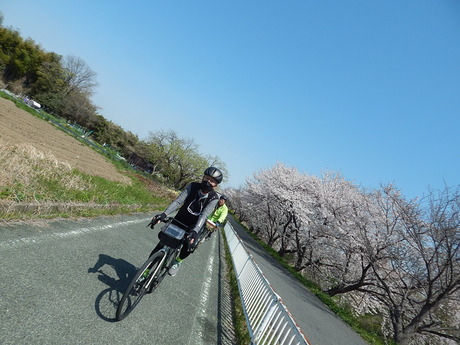 DSCN8444