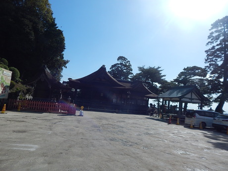 DSCN6570