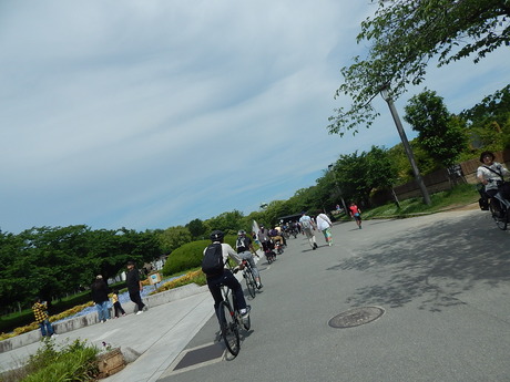 DSCN6534