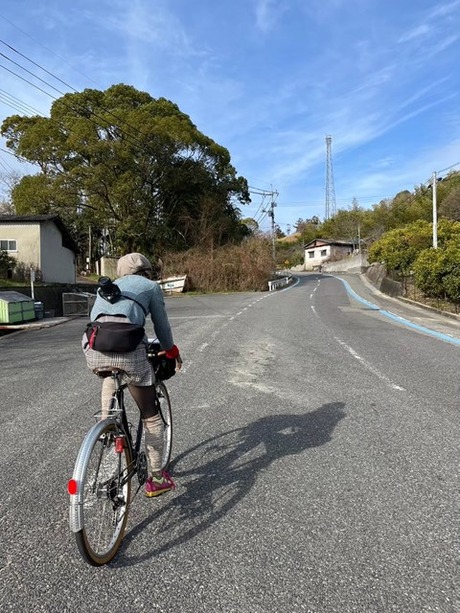 s-tac20240224001yumeshima