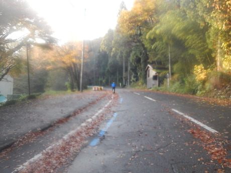 DSCN6545