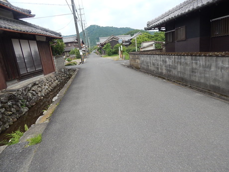 DSCN7865