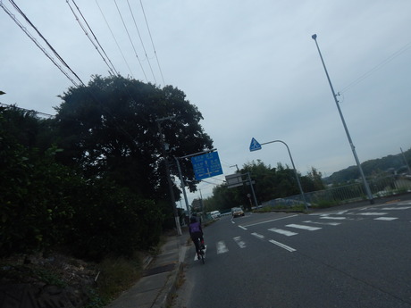 DSCN5087