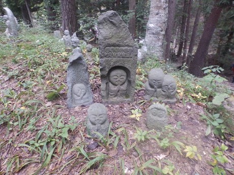s-PA080251syunara
