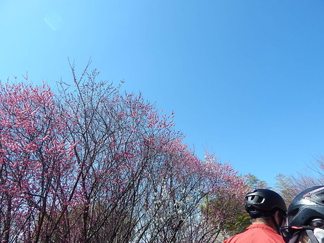 DSCN6832