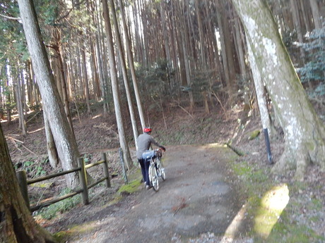 DSCN6322