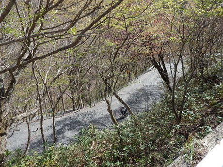 DSCN6178