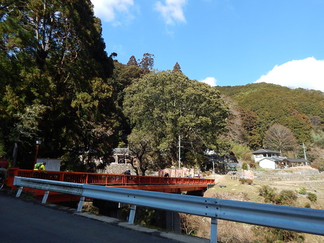 DSCN2467