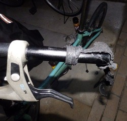 s-P4150591dahon