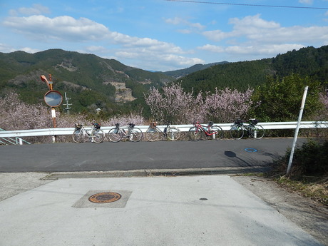 DSCN7908
