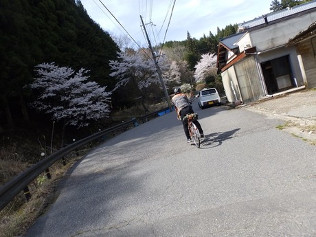 s-P4130358higashiyo