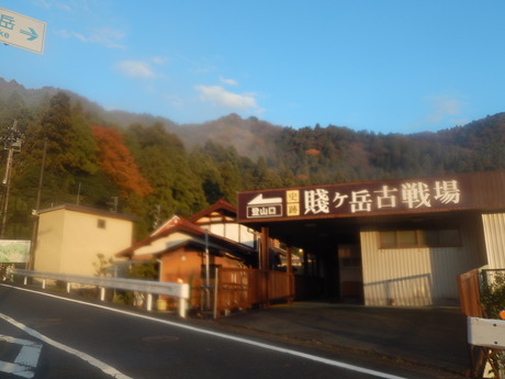 DSCN6542