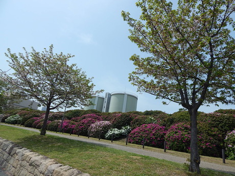 DSCN9490