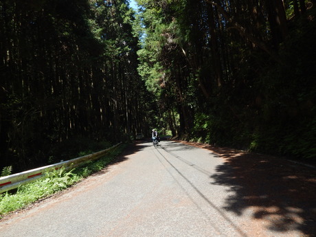 DSCN0242