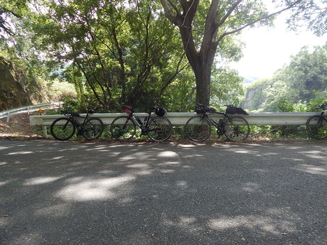 DSCN0523