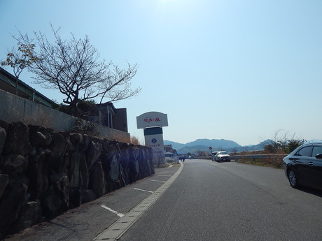 DSCN5334