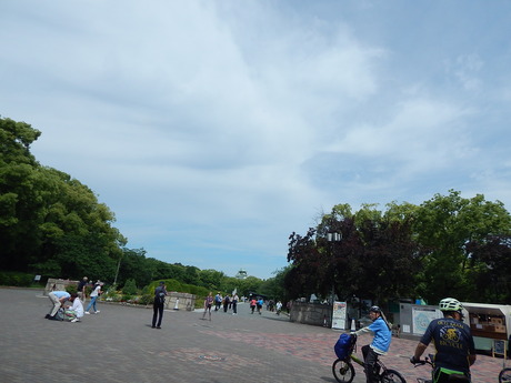 DSCN6525