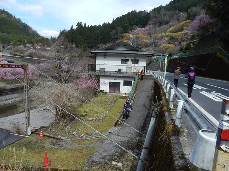 DSCN7793