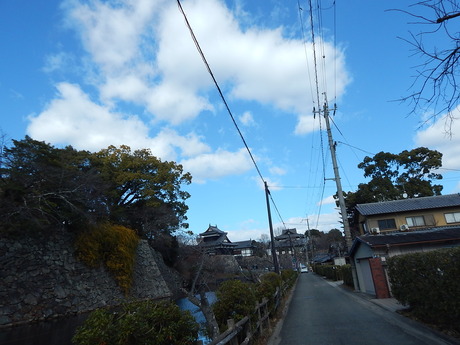 DSCN1258