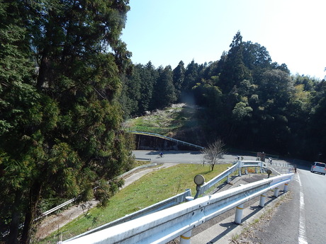 DSCN7356
