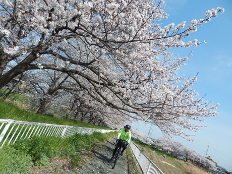 DSCN8408