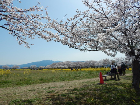 DSCN8476
