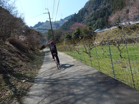 DSCN7203