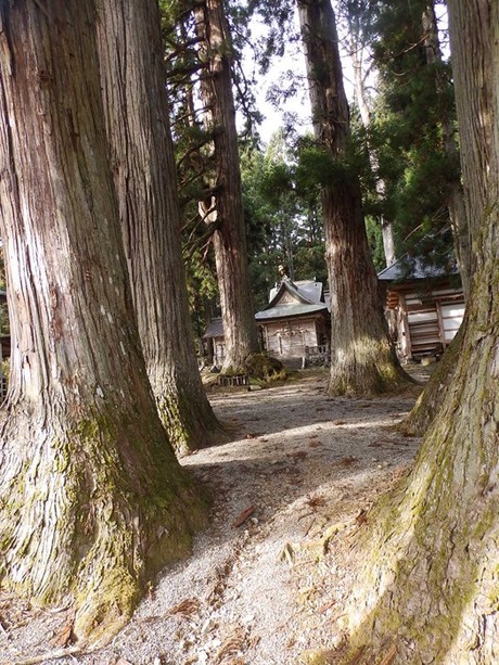s-PB040702nagano