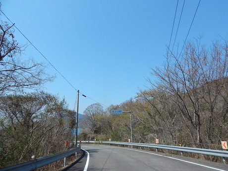 DSCN5278